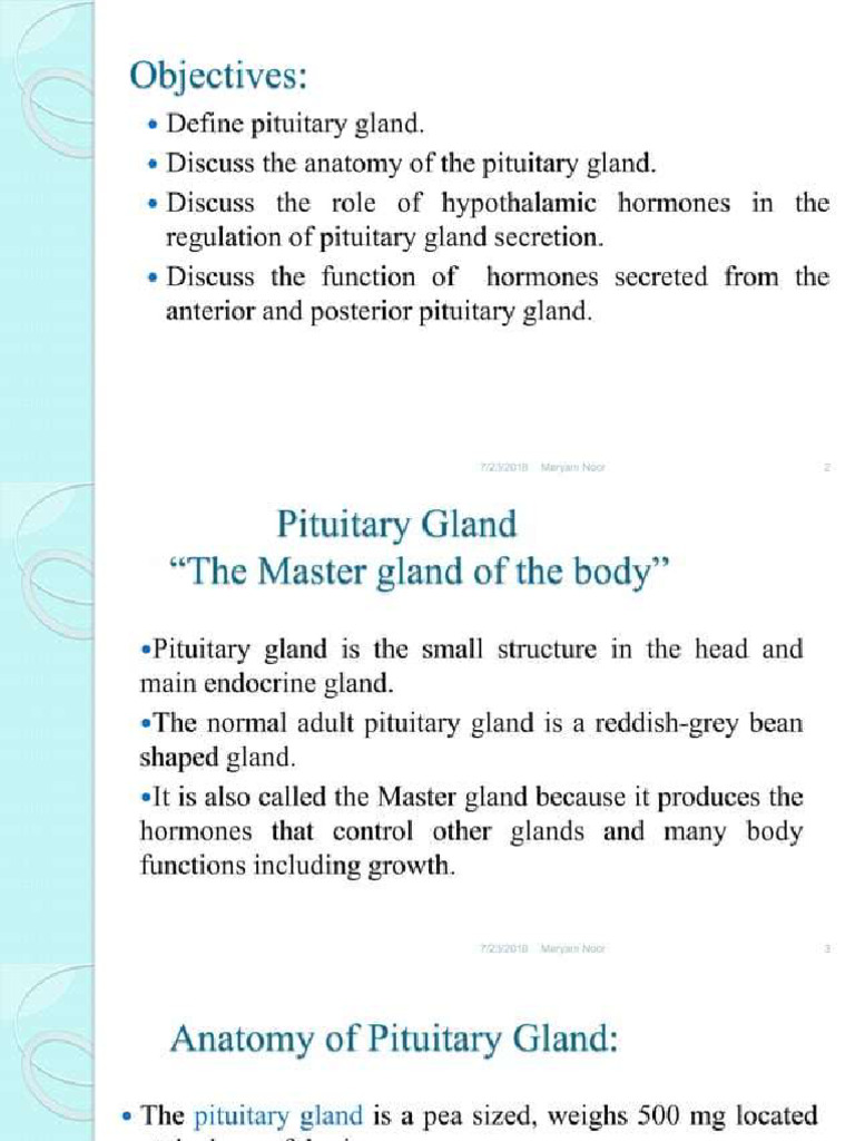 Pituitary Gland | PDF