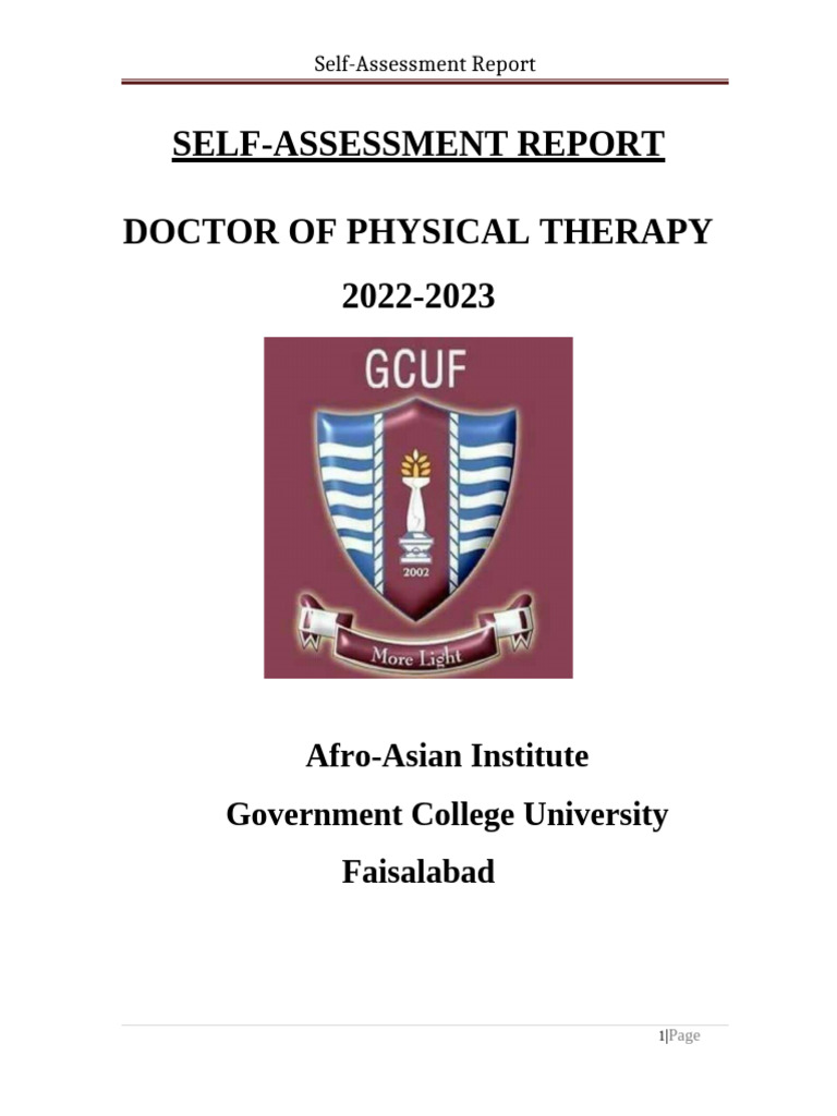 DPT Program Self-Assessment Report | PDF | Physical Therapy