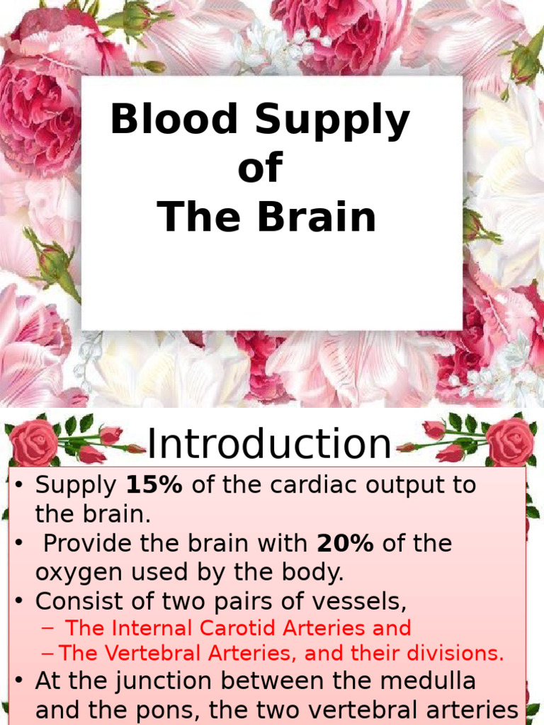 Brain Blood Supply Overview | PDF | Cerebellum | Cerebral Cortex