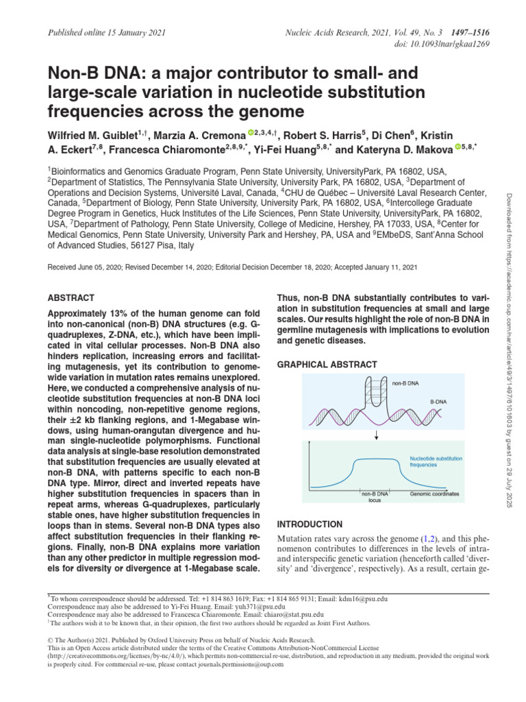 Impact of Non-B DNA on Mutation Rates | PDF | Single Nucleotide ...