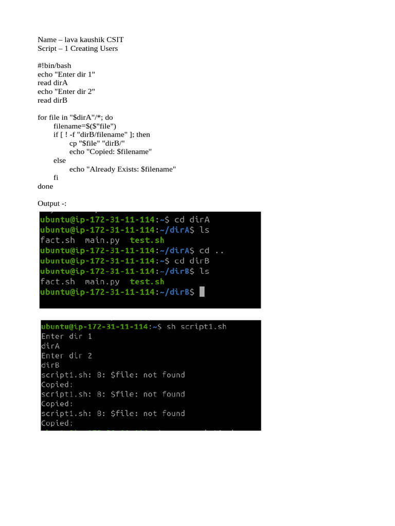 Bash Scripts for User Management | PDF