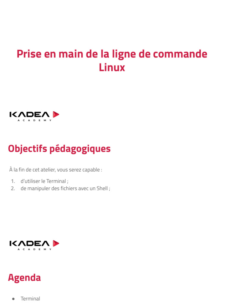 Introduction à la ligne de commande Linux | PDF | Terminal informatique ...
