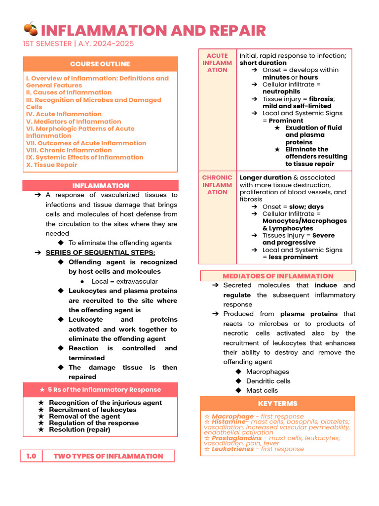 Inflammation and Repair_midterms | PDF | Inflammation | Macrophage