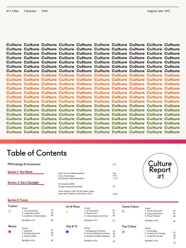 Irregular Labs Culture Report 1 | PDF | Fashion | Brand