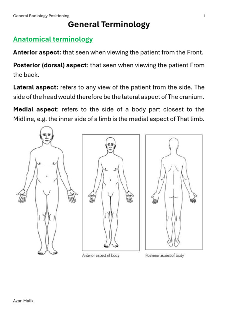 Radiographic Positioning Terminology | PDF | Anatomical Terms Of Motion ...