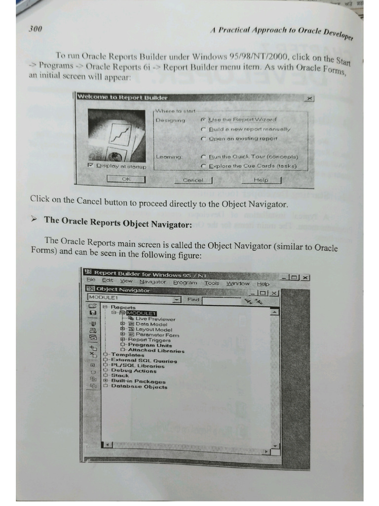 Oracle Developer | PDF
