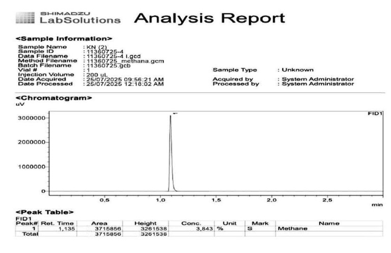 Analysis Report 5 | PDF