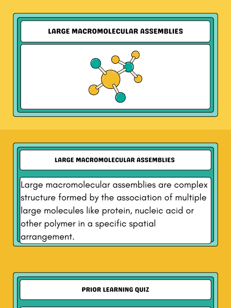 Large Macromolecular Assemblies | PDF | Proteins | Nucleic Acids