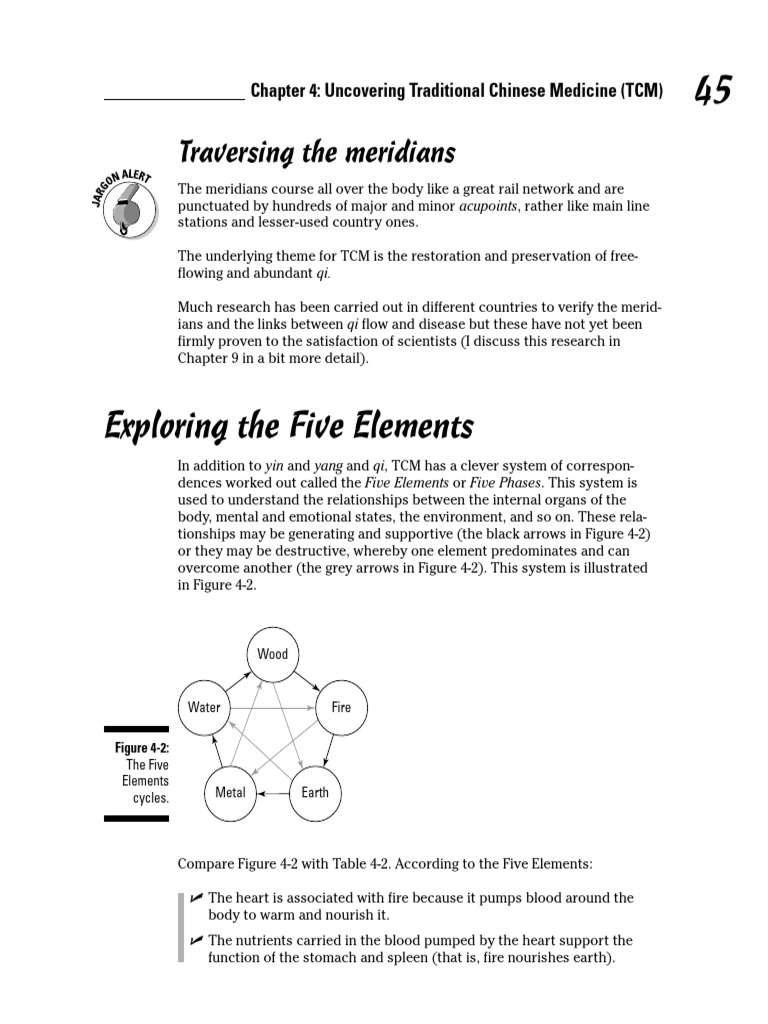 Understanding TCM: Meridians & Elements | PDF | Traditional Chinese ...