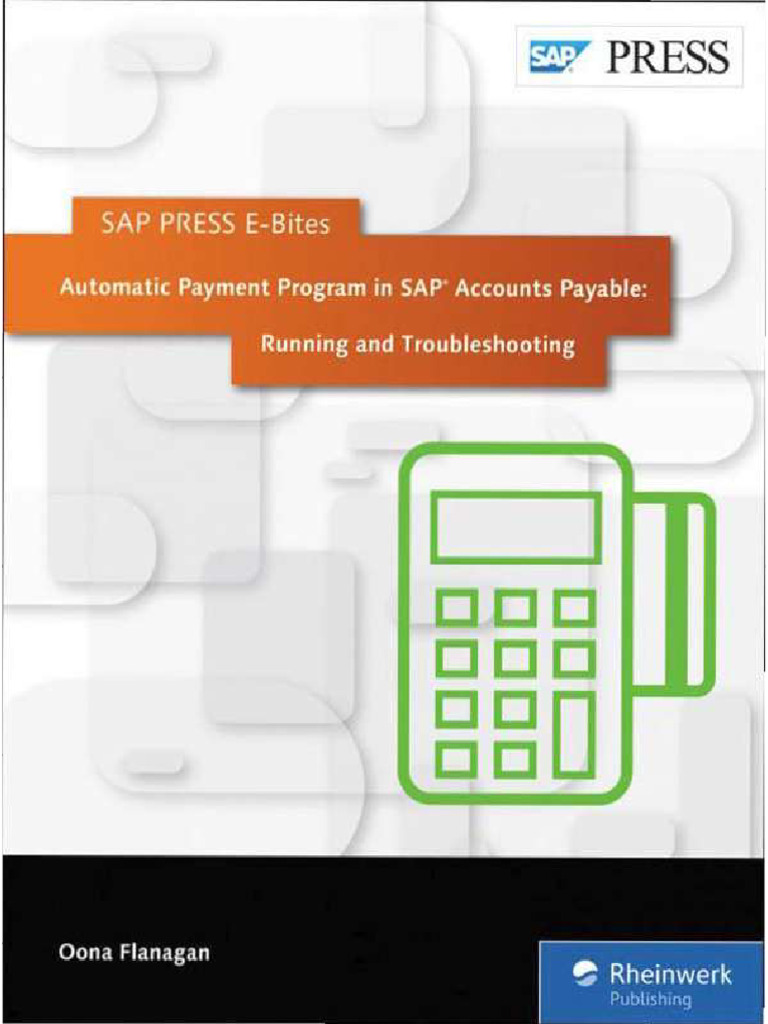 Automatic Payment Program In Sap Accounts Payable Running And