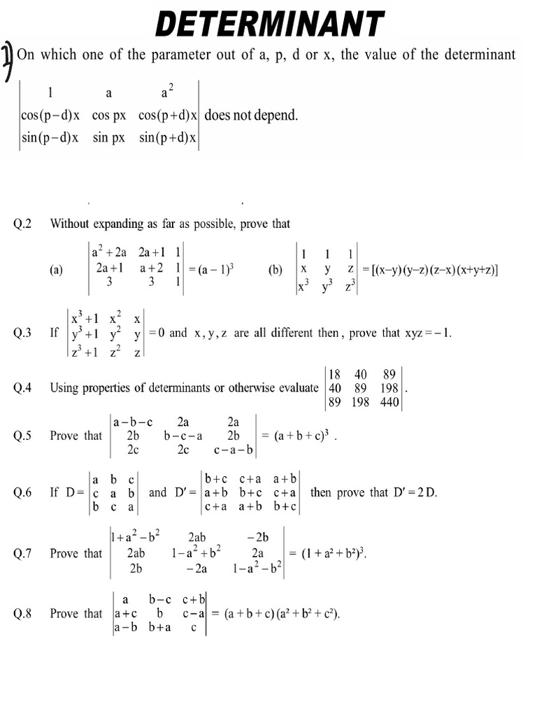 Determinant Assignment | PDF