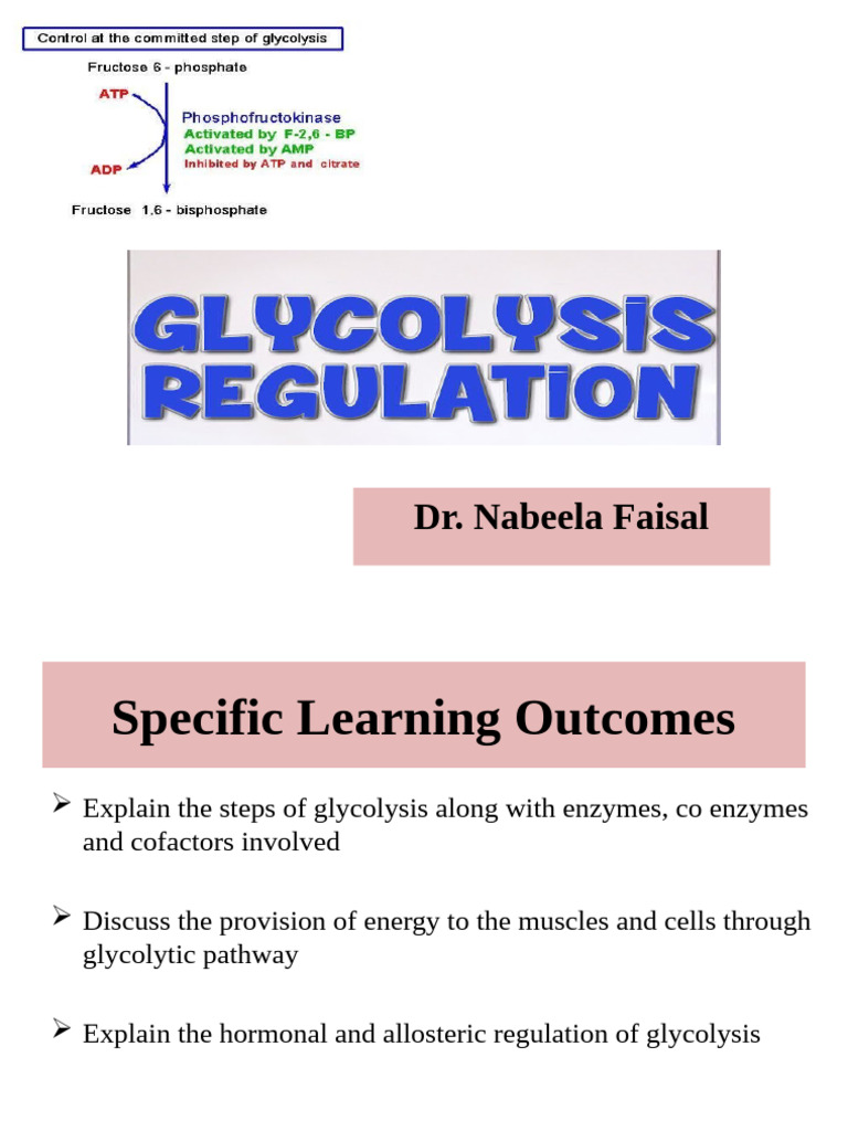 Glycolysis: Regulation and Pathways Explained | PDF | Glycolysis ...