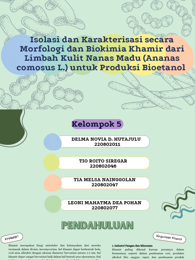 Khamir dari Kulit Nanas untuk Bioetanol | PDF