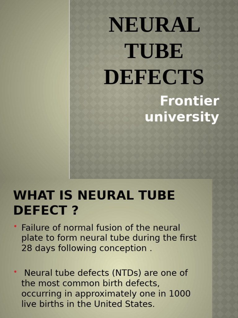 Neural Tube Defects | PDF | Nervous System | Congenital Disorder