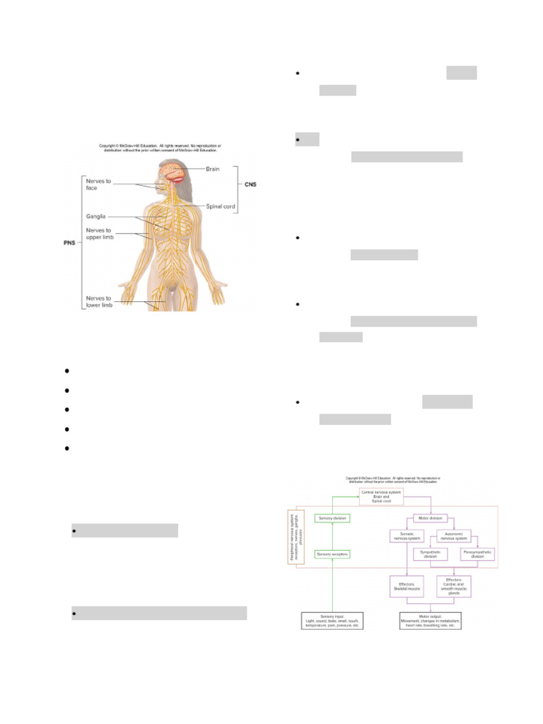 Nervous System Overview and Functions | PDF | Chemical Synapse | Action ...