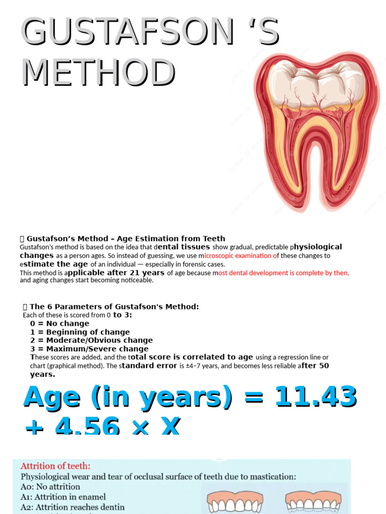 Gustafson Method for Dental Age Estimation | PDF