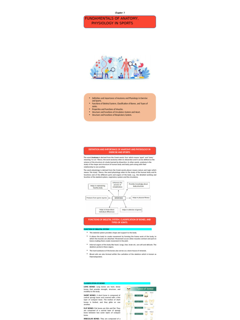 Anatomy and Physiology in Sports | PDF | Blood | Human Body