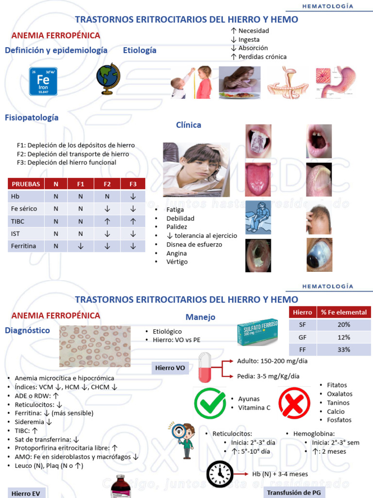 FT - HEMATOLOGÍA - 2. Trastornos Eritrocitarios Del Hierro y Hemo ...