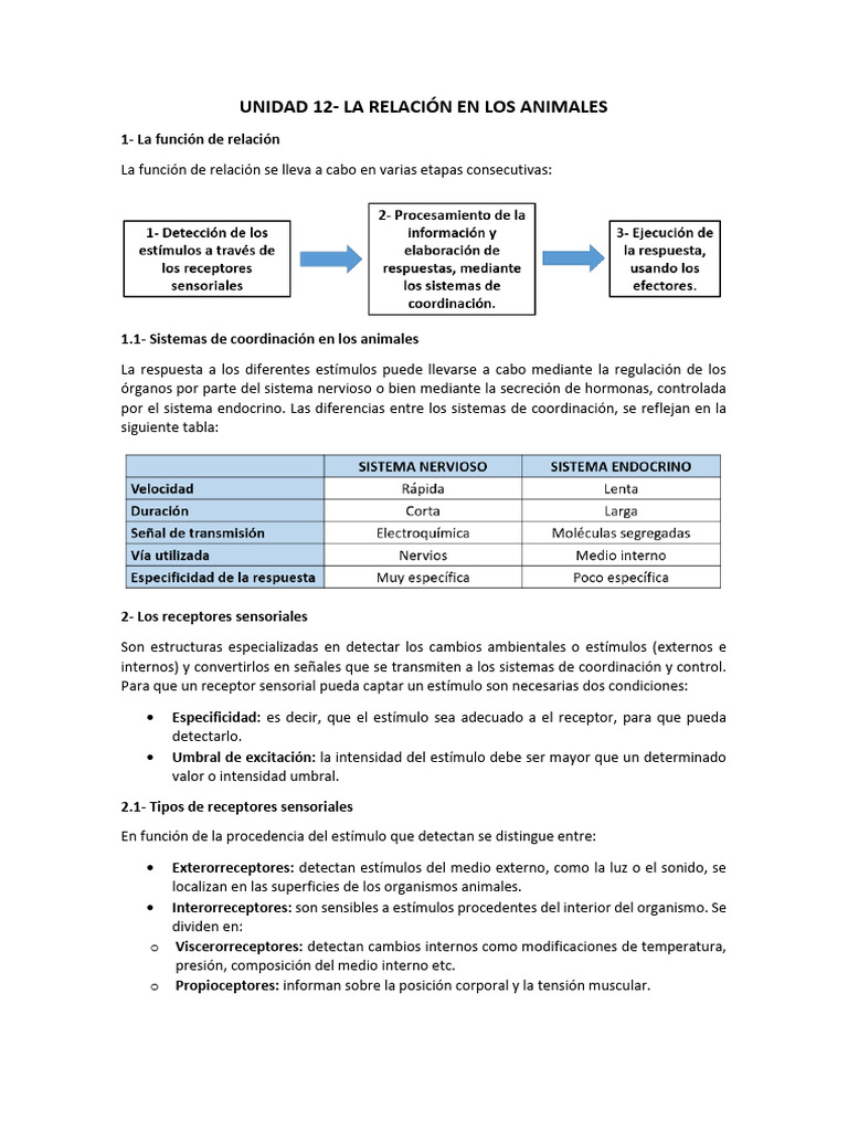 Función de Relación en Animales | PDF | Sistema nervioso | Neurona