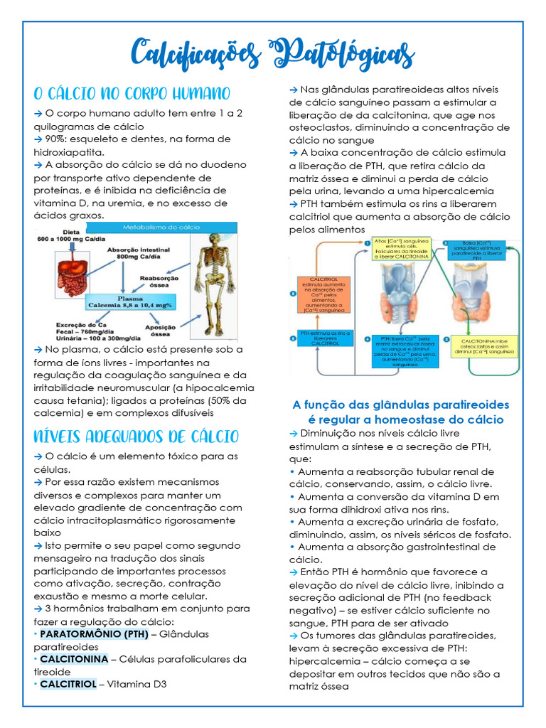 Calcificações Patológicas | PDF | Osso | Especialidades médicas