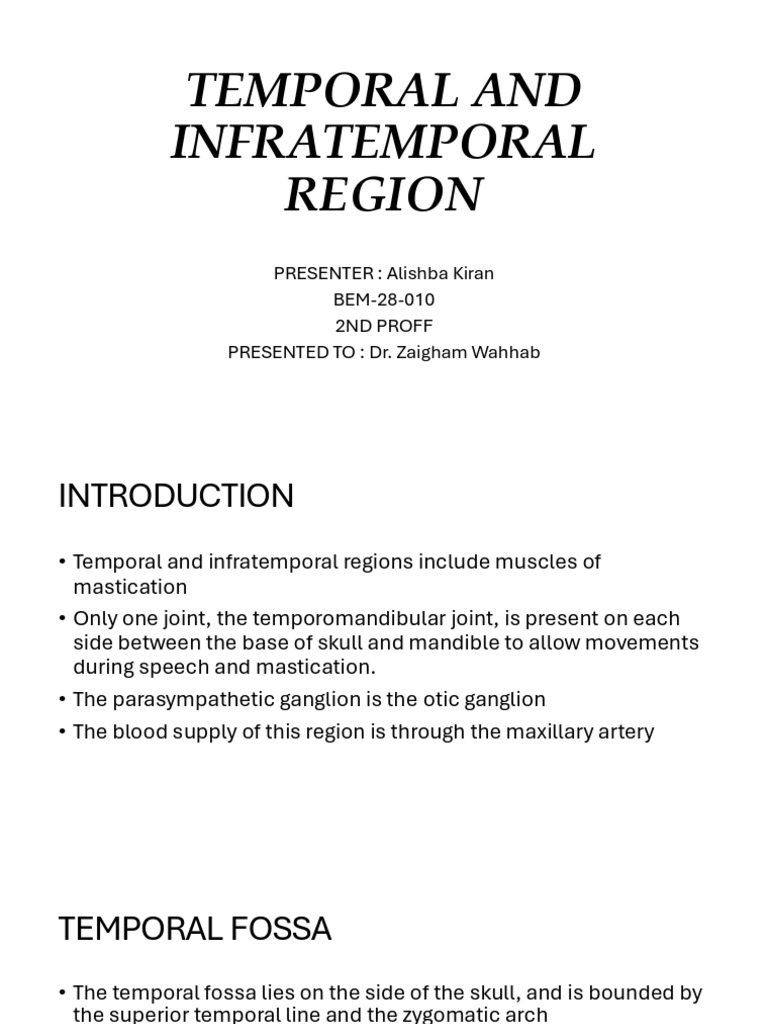 Anatomy of Temporal and Infratemporal Regions | PDF | Musculoskeletal ...