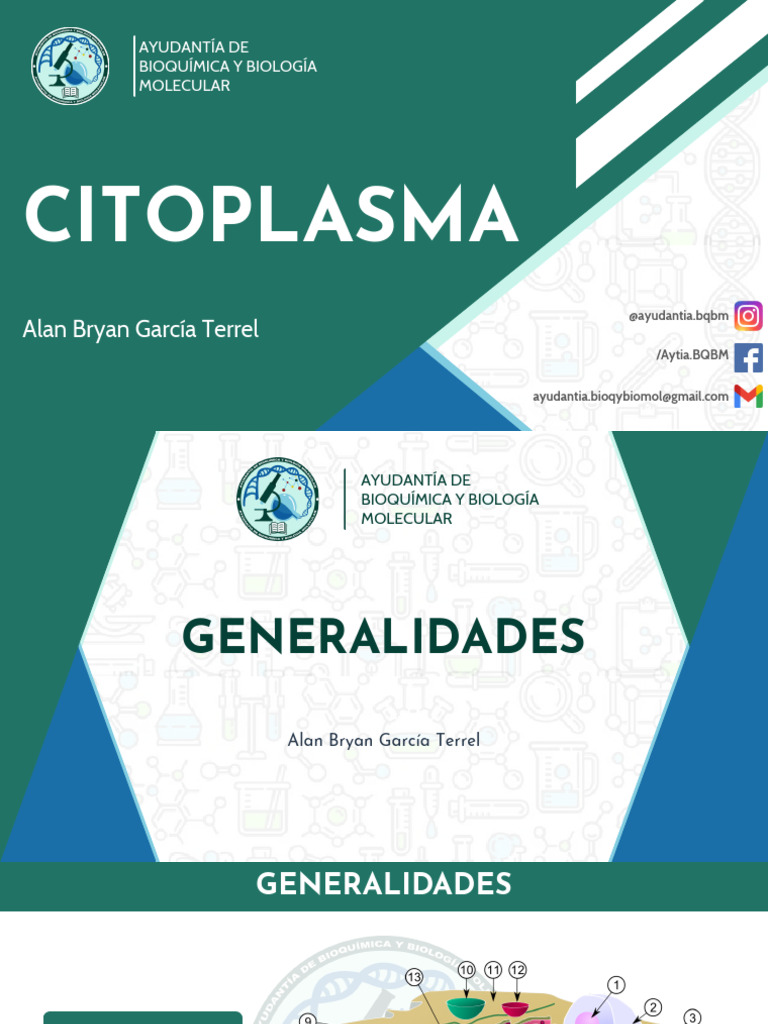 Estructura y Función del Citoplasma Celular | PDF | Adhesión celular ...