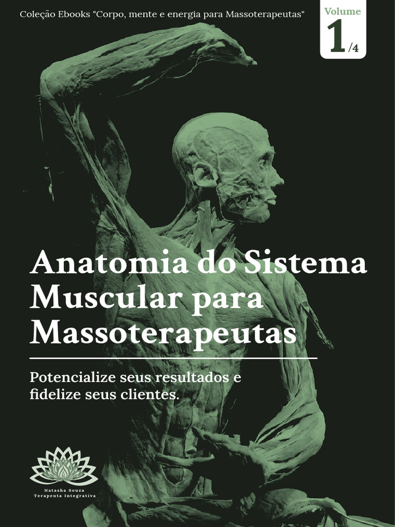 Anatomia Muscular para Massoterapeutas | PDF | Músculo | Massagem