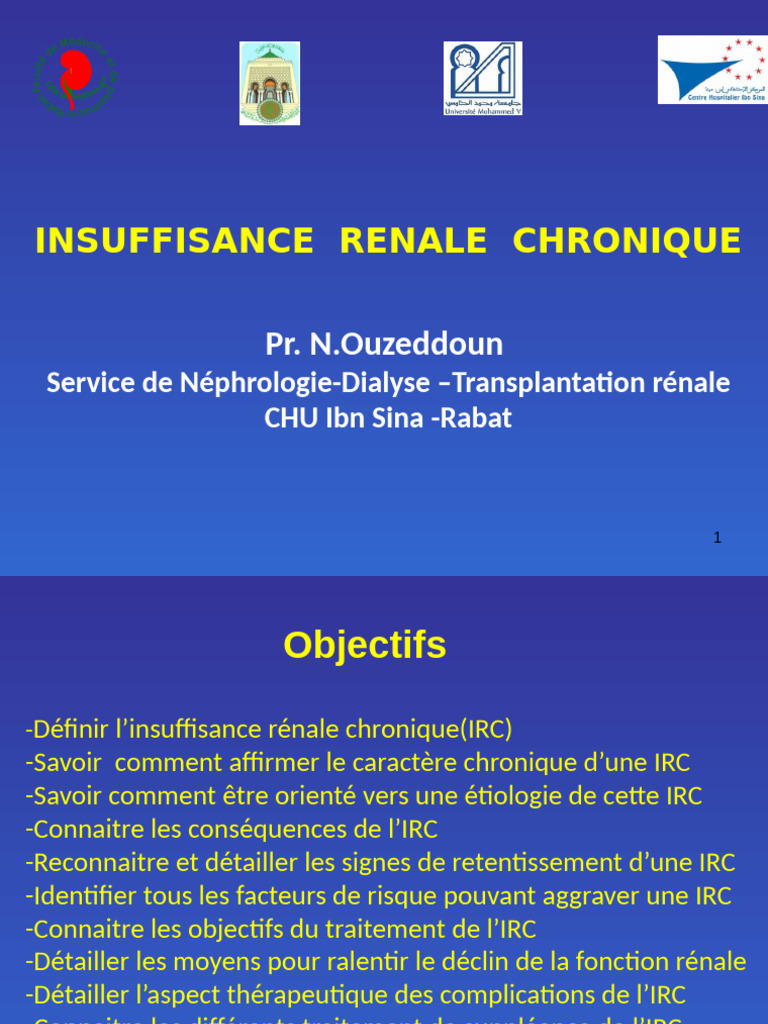Insuffisance Rénale Chronique : Guide Complet | PDF | Insuffisance ...
