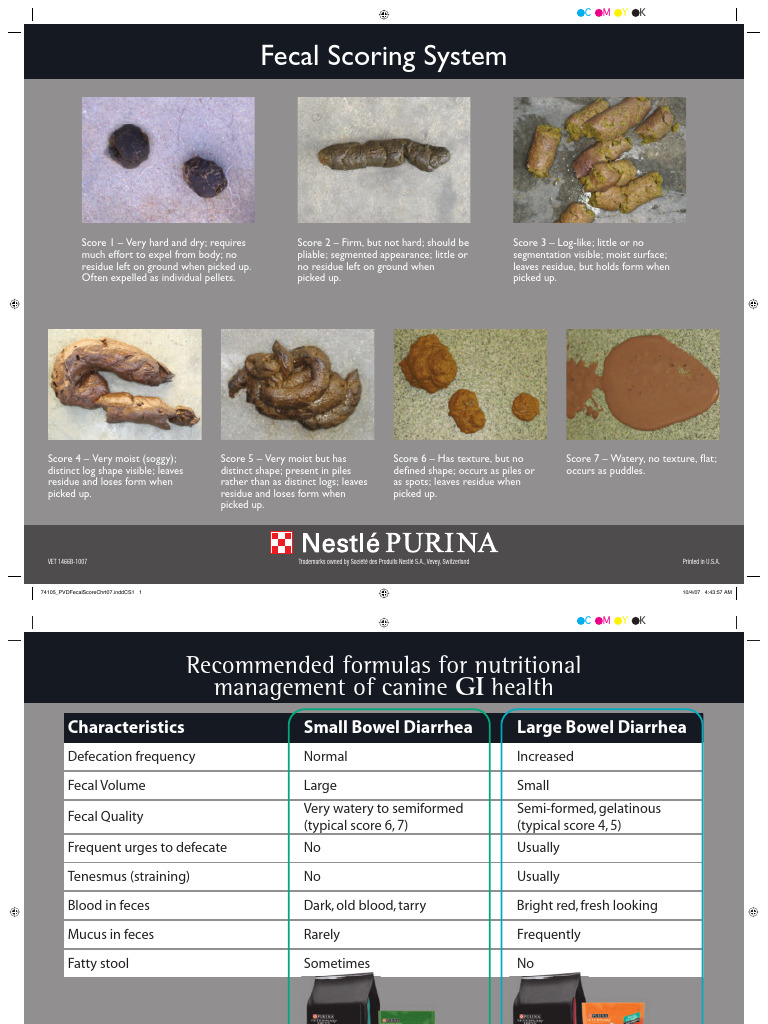 Nestle Purina Fecal Scoring System PDF Feces Human Feces