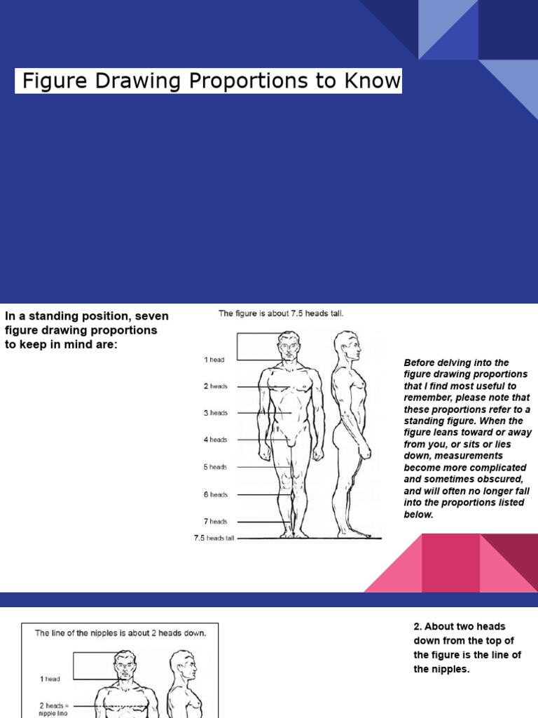 Figure Drawing Proportions Explained | PDF