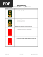 London Ambulance Service Rank Structure | PDF | Emergency Medical ...
