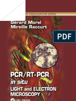 Morel - PCR-RT-PCR in Situ-Light and Electron Microscopy MVS