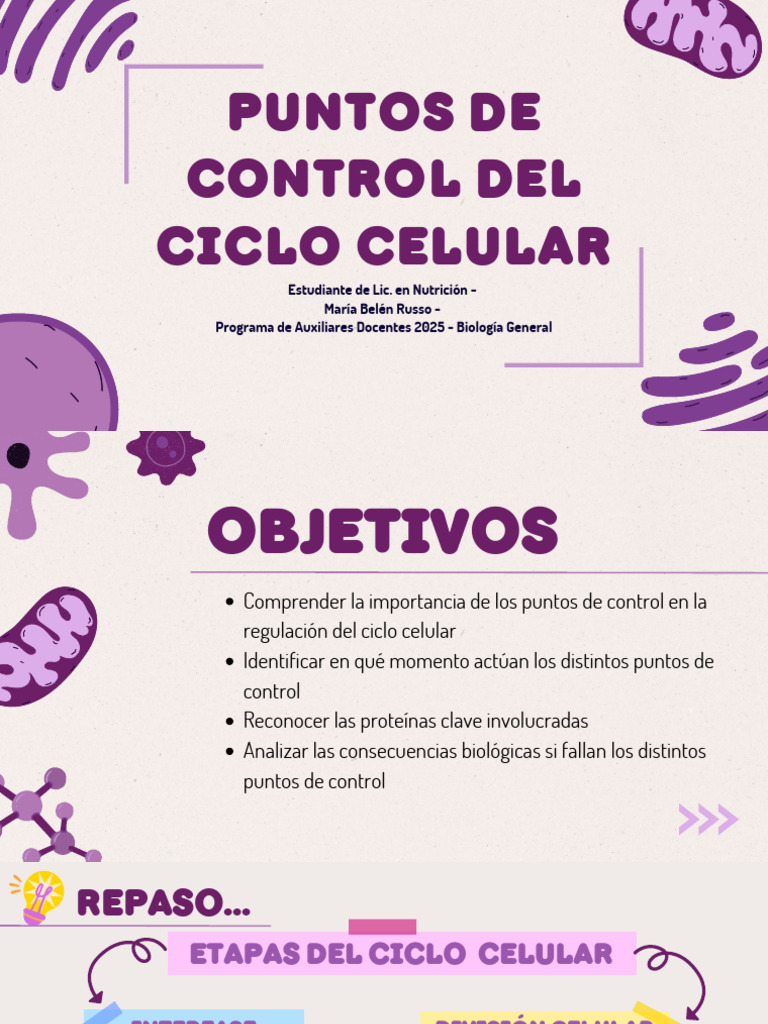 Puntos de Control Del Ciclo Celular - BIOLOGIA CLASE 27-5 | PDF | Ciclo ...