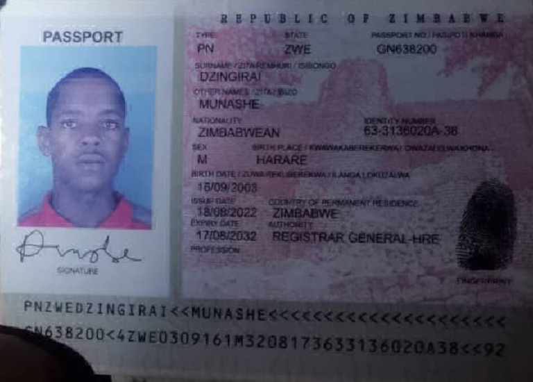 Zimbabwean Passport Details Document | PDF