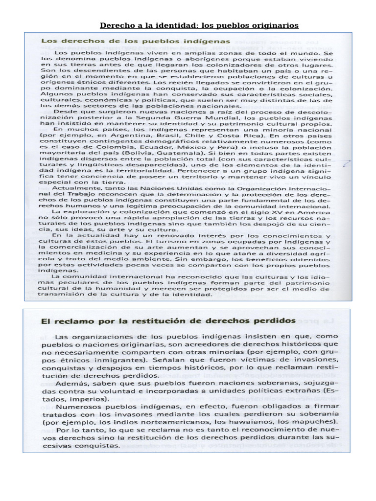 Derecho a la Identidad de Pueblos Originarios | PDF