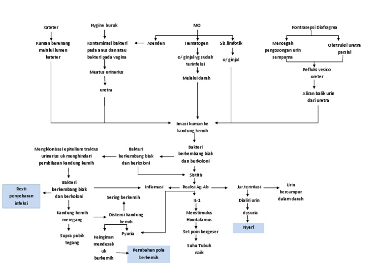 Laporan Pendahuluan Infeksi Saluran Kemih Pdf Seputar