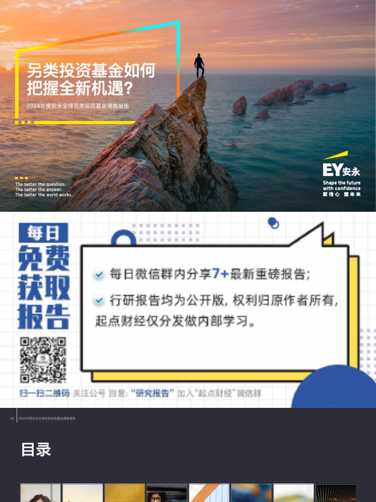 2024年度安永全球另类投资基金调查报告：另类投资基金如何把握全新机遇安永2025 44页| PDF
