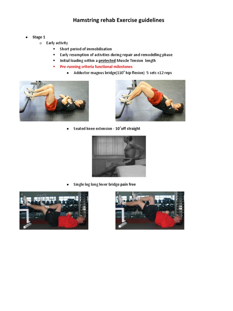 Hamstring Rehab Exercise Guidelines | PDF