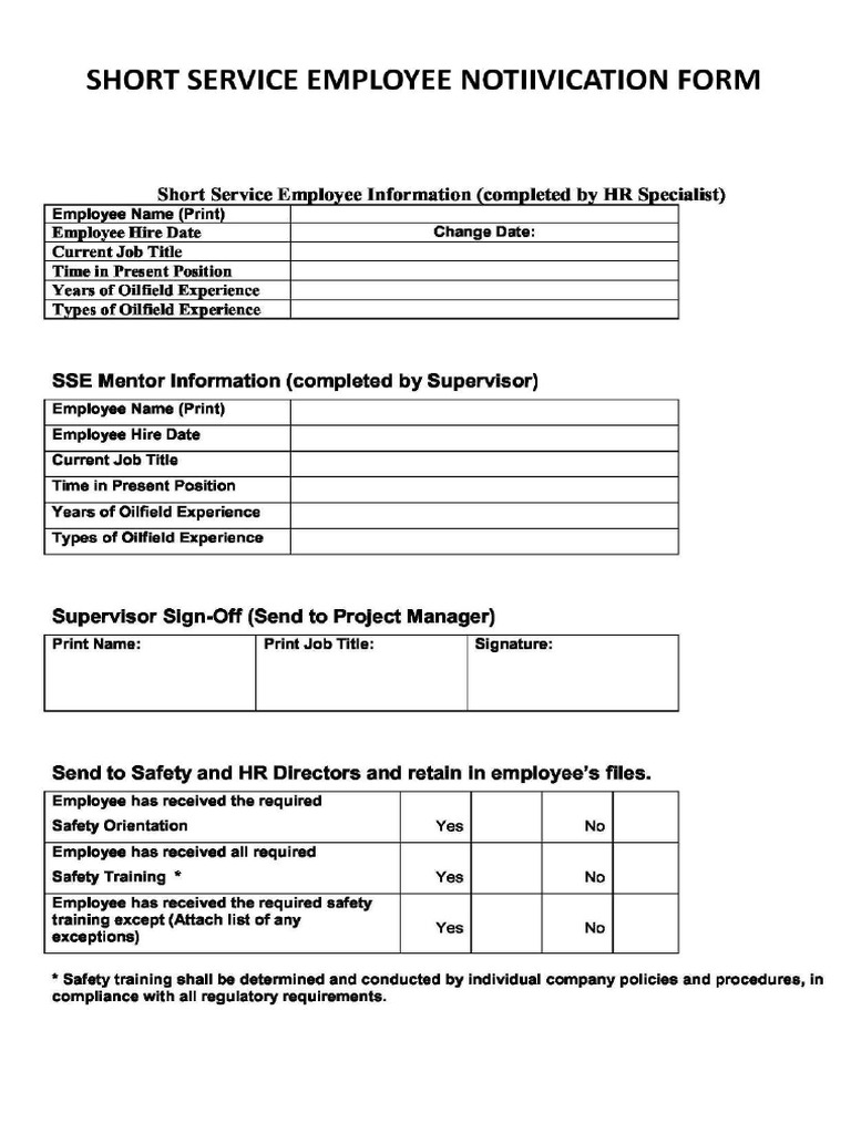 SSE Form | PDF