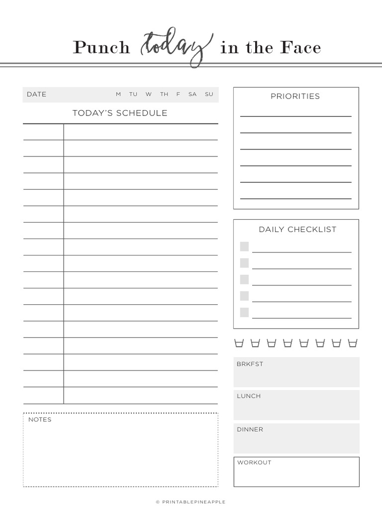 Daily Checklist and Schedule Template | PDF