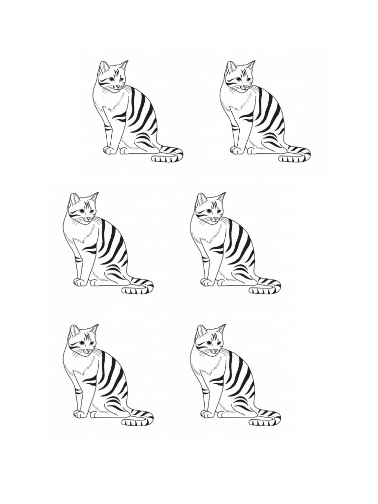 Catt Image | PDF