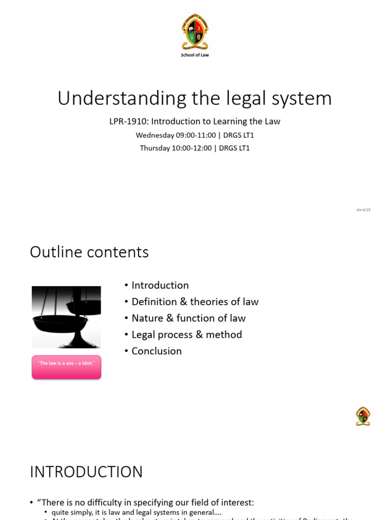 Overview of Legal Systems and Law | PDF | Burden Of Proof (Law ...