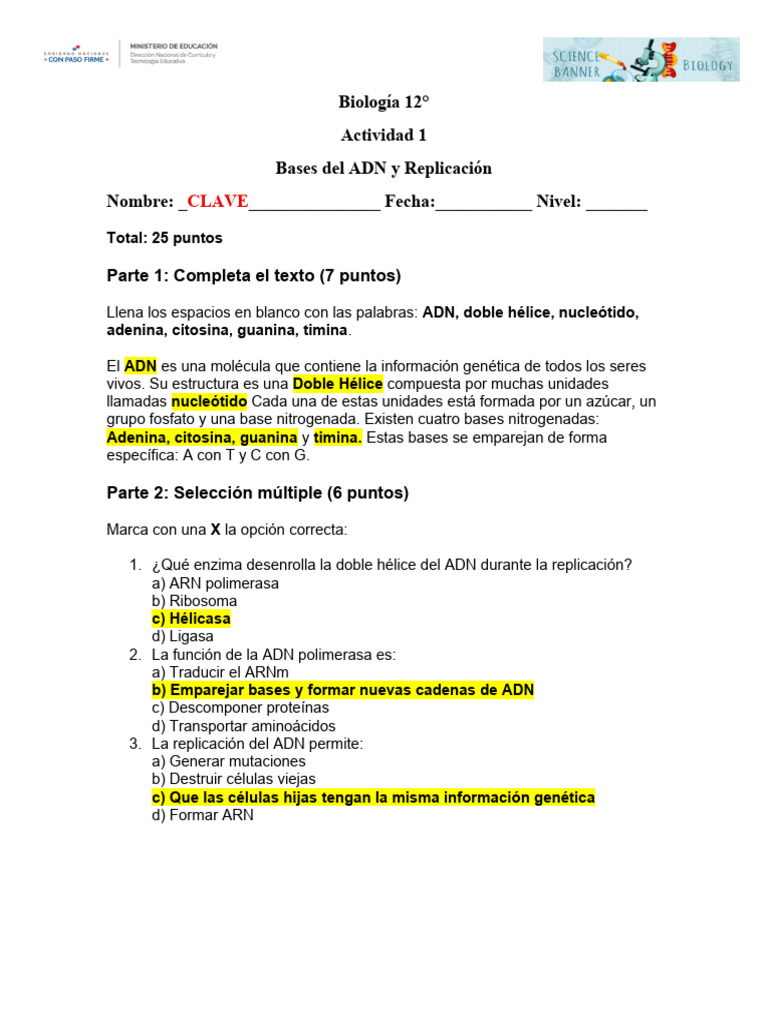 Actividades de BioligÃ - A 12Â° Trimestre II CLAVE | PDF | Adn | Rna