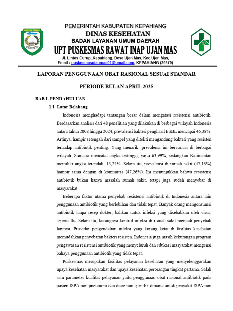 Laporan Penggunaan Obat Rasional Puskesmas | PDF