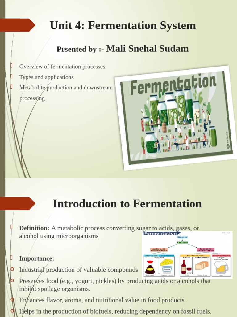 Fermentation Processes Overview and Types | PDF | Fermentation | Chemistry
