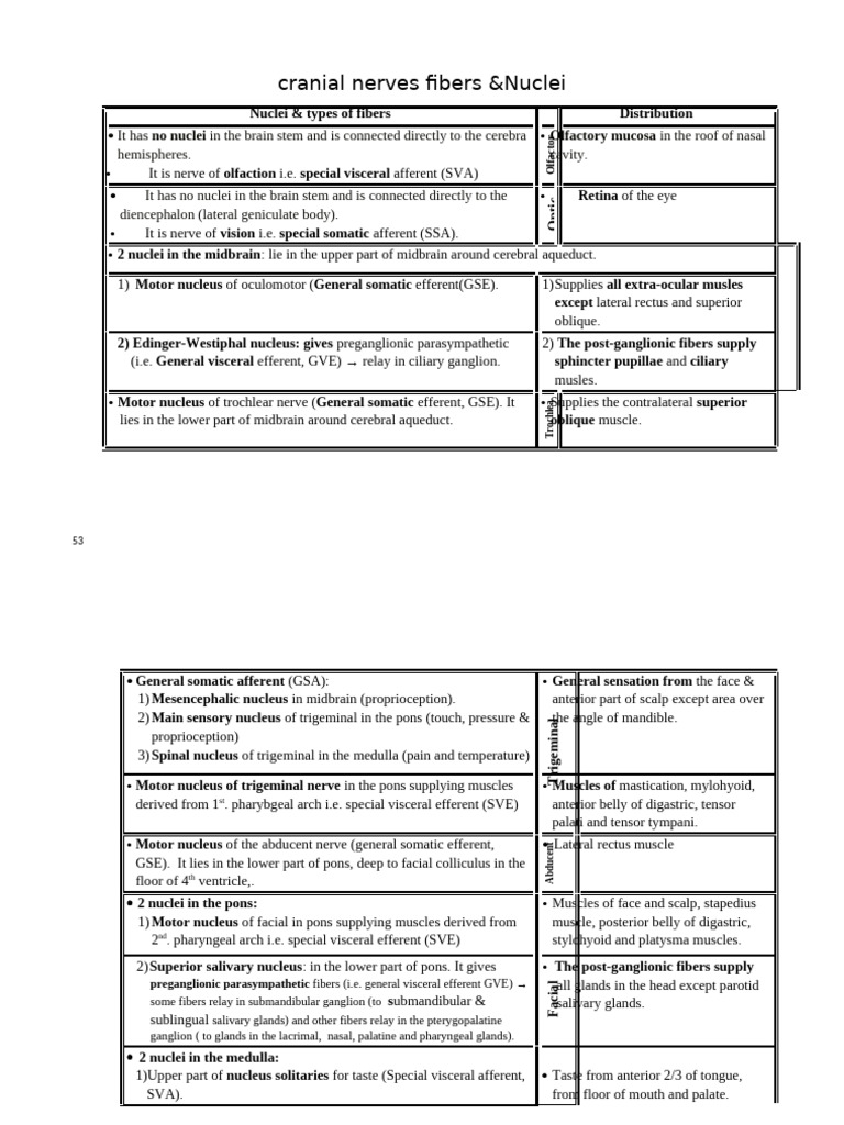 53-56 Nuclei of Cranial Nerves New | PDF | Human Head And Neck ...