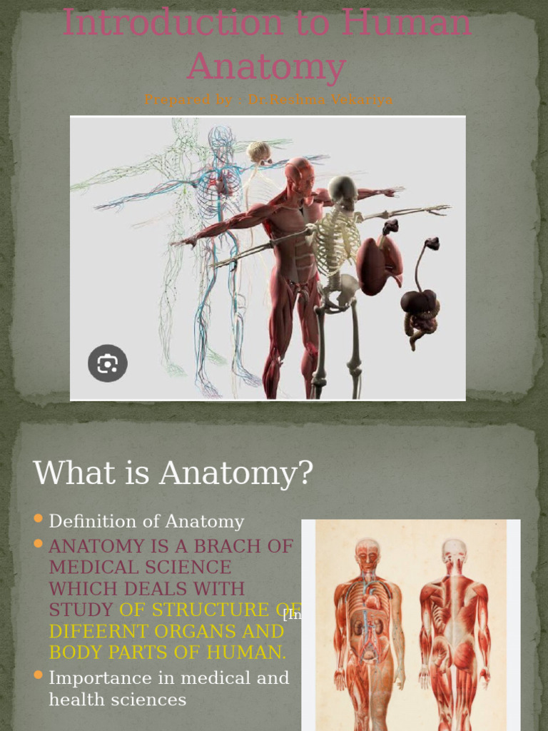 Introduction to Human Anatomy Overview | PDF