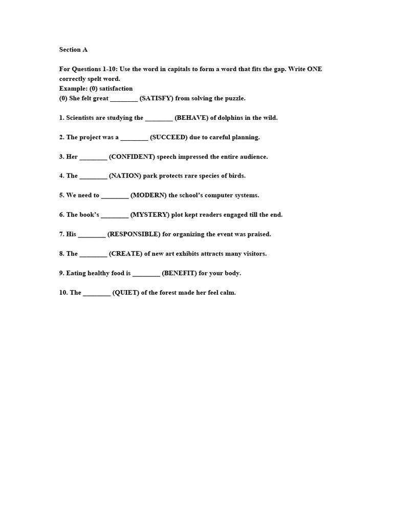 Vocabulary and Grammar Practice Test | PDF