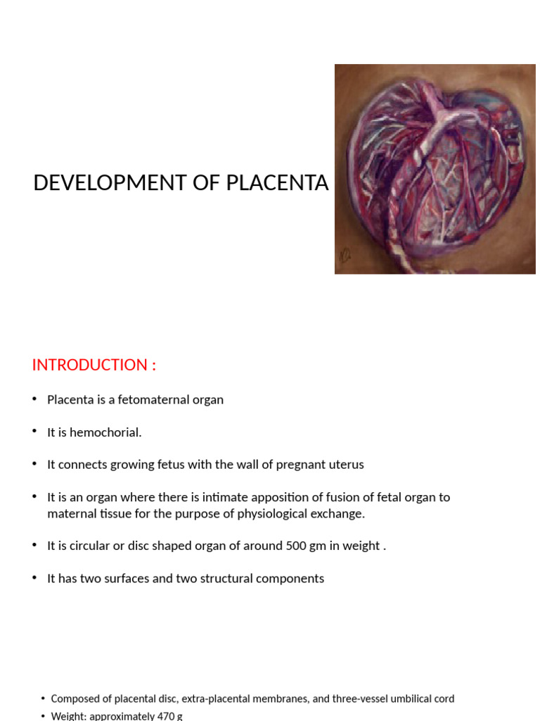 Understanding Placenta Development | PDF | Placenta | Uterus