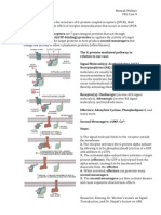 73527321 GPCR Receptors